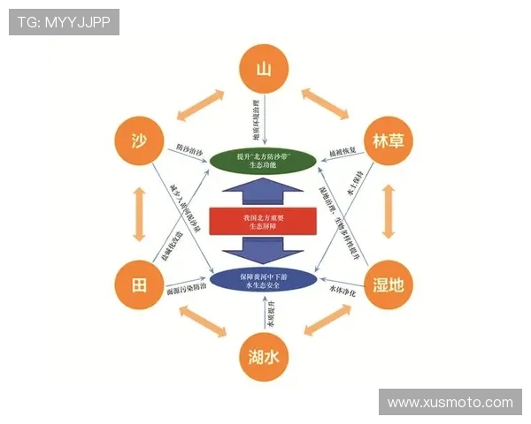 沙龙国际:打造多元化娱乐休闲生态系统的战略布局